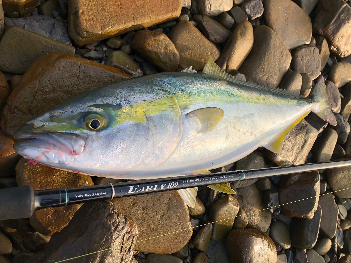 Yamaga Blanks - Early Surf 109MMH Spinning Rod