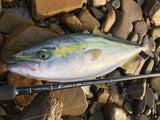Yamaga Blanks - Early Surf 109MMH
