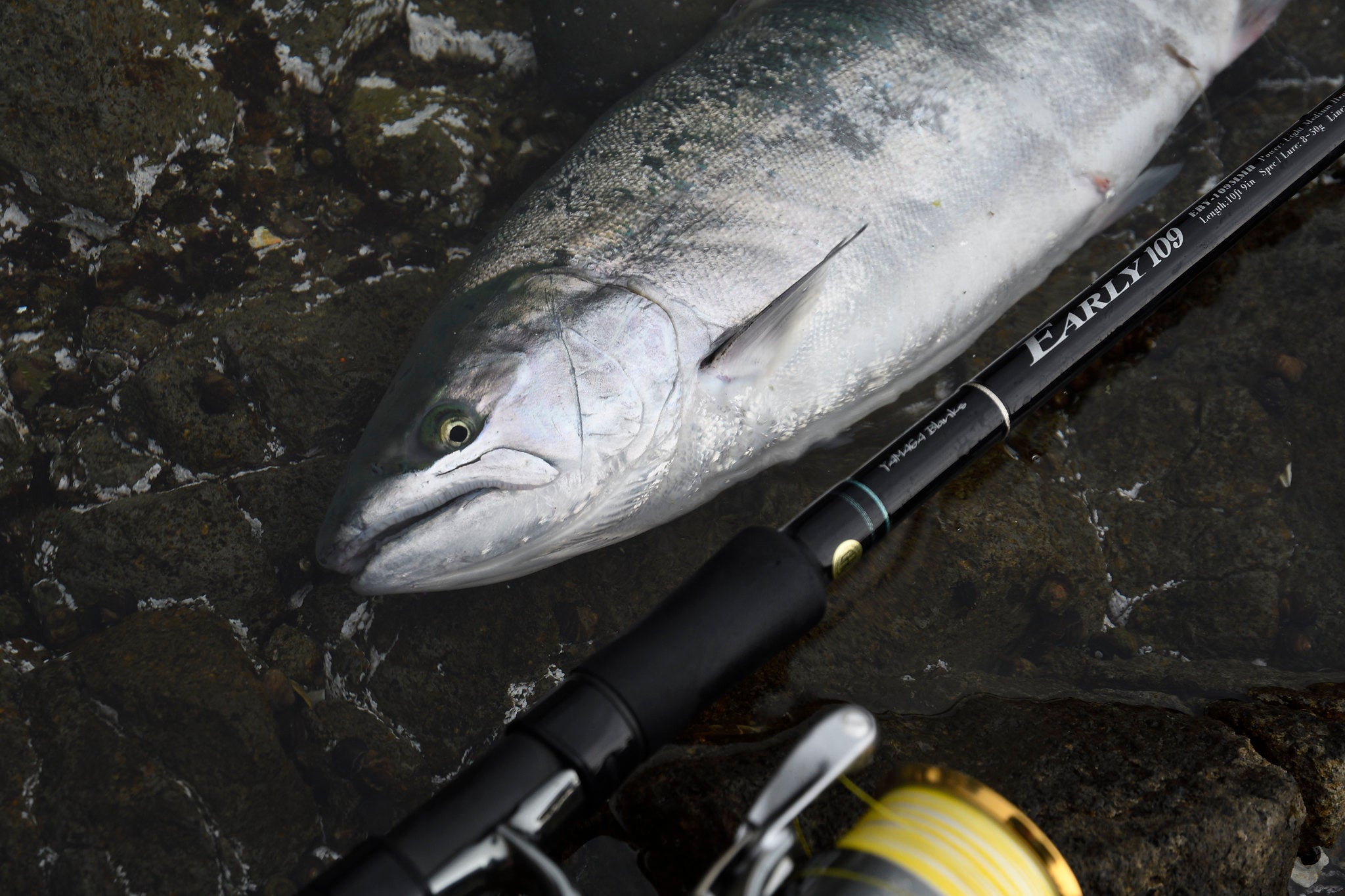 Yamaga Blanks - Early Surf 109MMH – Monster Fishing