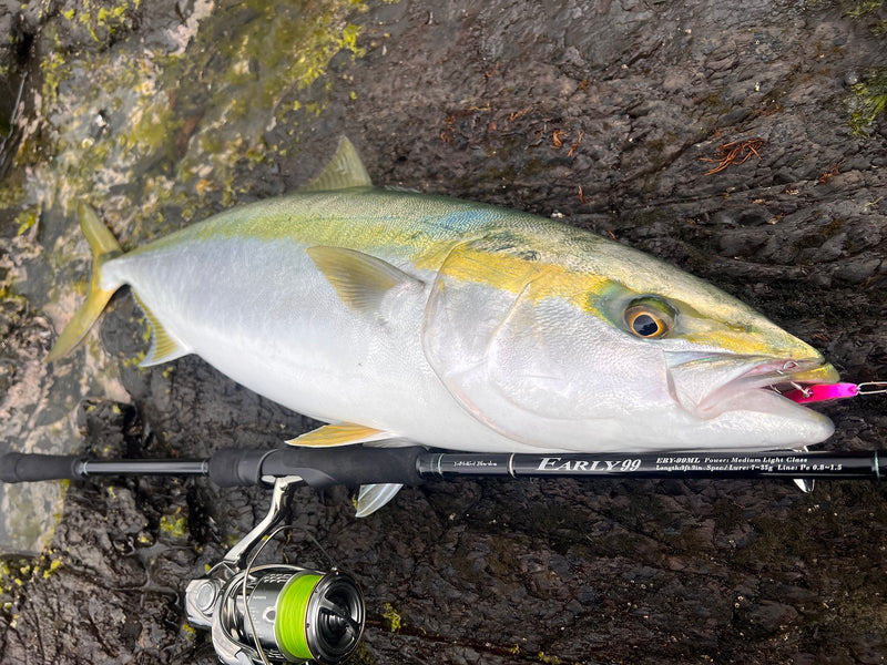 Yamaga Blanks- Early Surf 99ML Spinning Rod