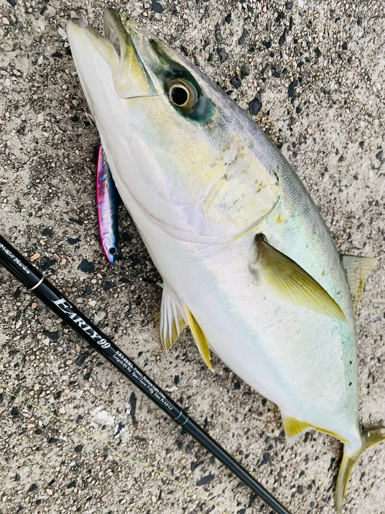 Yamaga Blanks- Early Surf 99ML Spinning Rod
