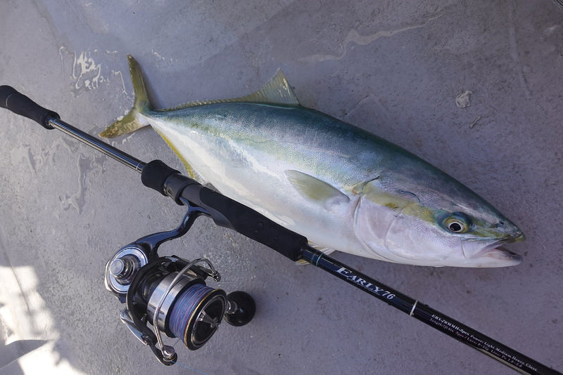 Yamaga Blanks - EARLY for Mobile 76MMH Spinning Rod (3 piece)