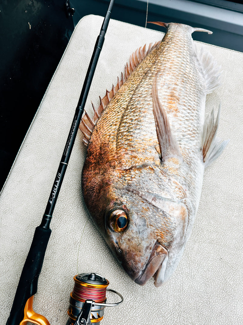 Yamaga Blanks - EARLY for Mobile 76MMH Spinning Rod (3 piece)