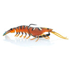 #04 Green Prawn