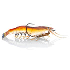#05 Native Prawn