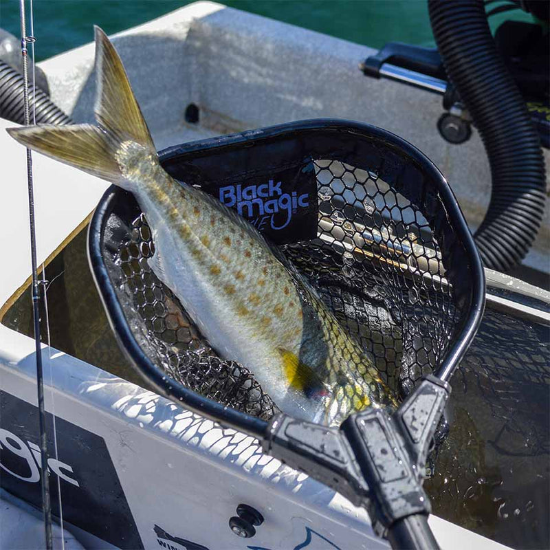 Black Magic - Bait Net