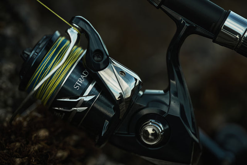 Shimano 24 Stradic SW 6000PG | Torque