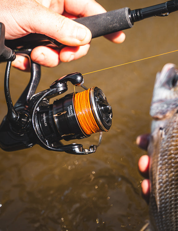 Daiwa 26 FREAMS LT2000S-XH | Spin Reel | Monster Fishing
