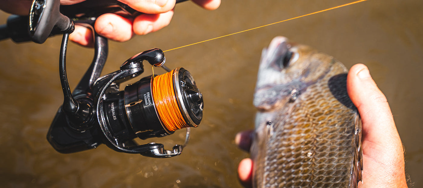 Daiwa - 26 FREAMS LT4000-CXH