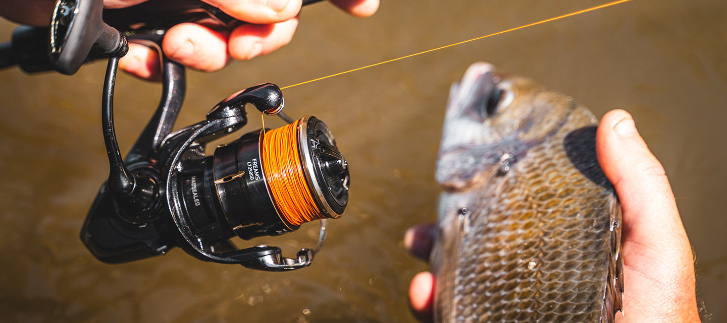 Daiwa 26 FREAMS LT2500 | Smooth Winding | Monster Fishing
