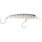 Silver Shadow