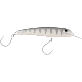 Silver Shadow