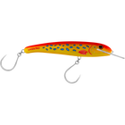 Coral Trout