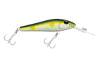 Ayu