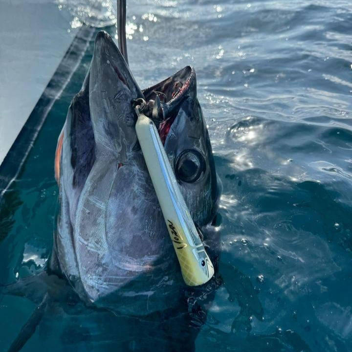 Veza Lures - Disruptor 190mm
