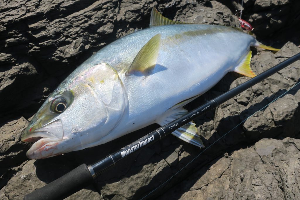 Ripple Fisher - MonsterImpact 110HH Spinning Rod