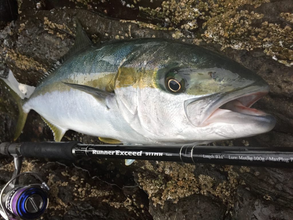 Ripple Fisher - RunnerExceed 911MH Nano Topwater Rod