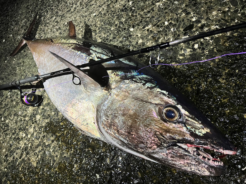 Ripple Fisher - RunnerExceed FINAL STAND UP 83HH Topwater Rod