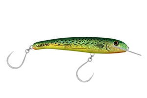 Bonito