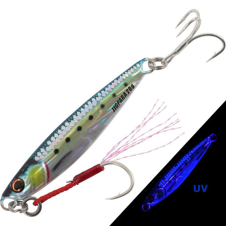 MajorCraft - JigPara Short