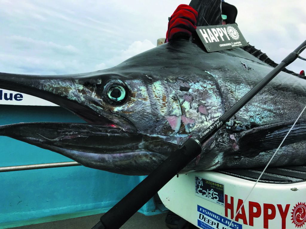 Ripple Fisher Ocean Arrow 5930B Topwater Rod | Shore Jigging | NZ