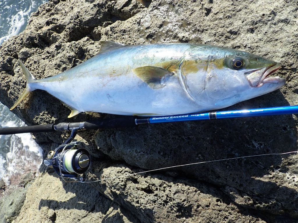 Ripple Fisher - RunnerExceed 104H Plug Topwater Rod