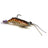 Brown Prawn