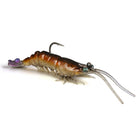 Brown Prawn