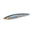 Genkai Sardine