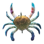 #10 Blue Swimmer