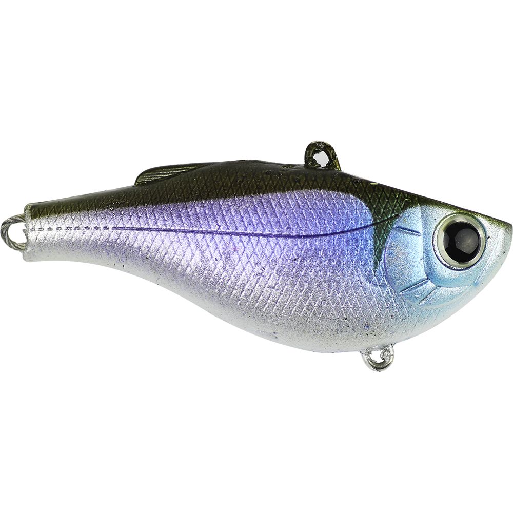 Atomic - Semi Hardz Vib