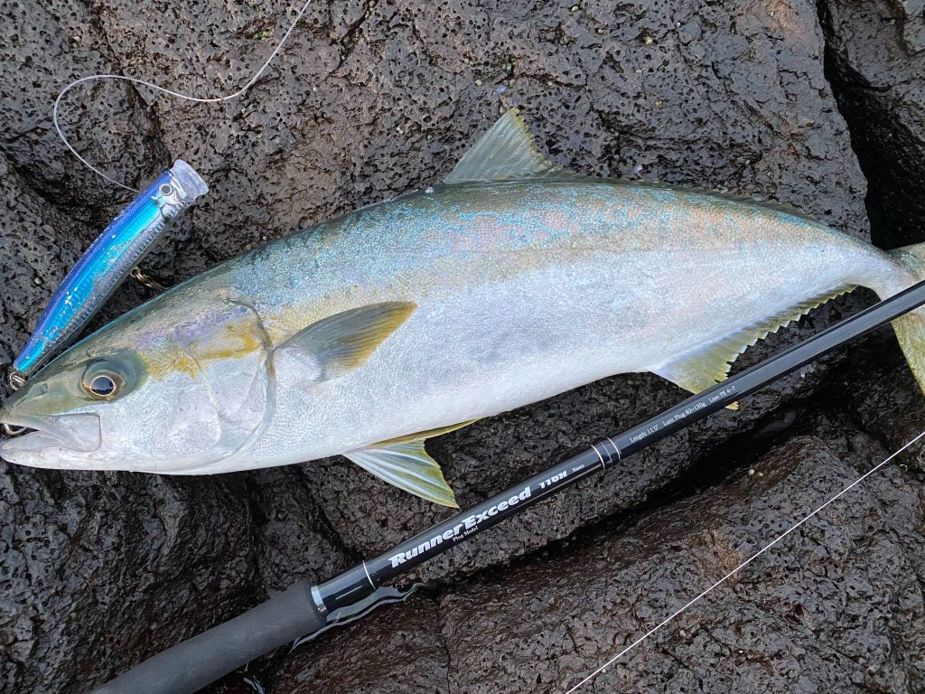 Ripple Fisher - RunnerExceed 110H Plug Topwater Rod
