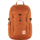Terracotta Brown