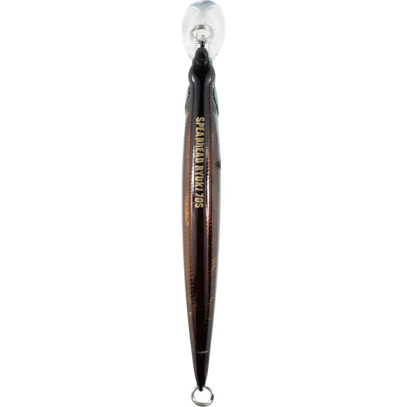 Duo - Spearhead Ryuki 70S