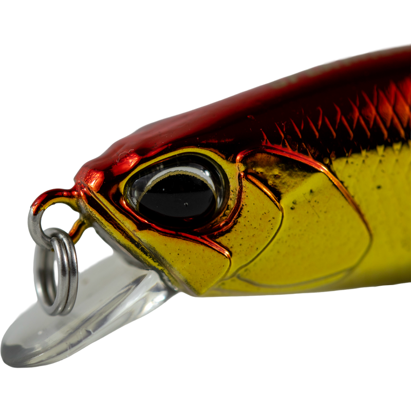 Duo - Spearhead Ryuki 50SP
