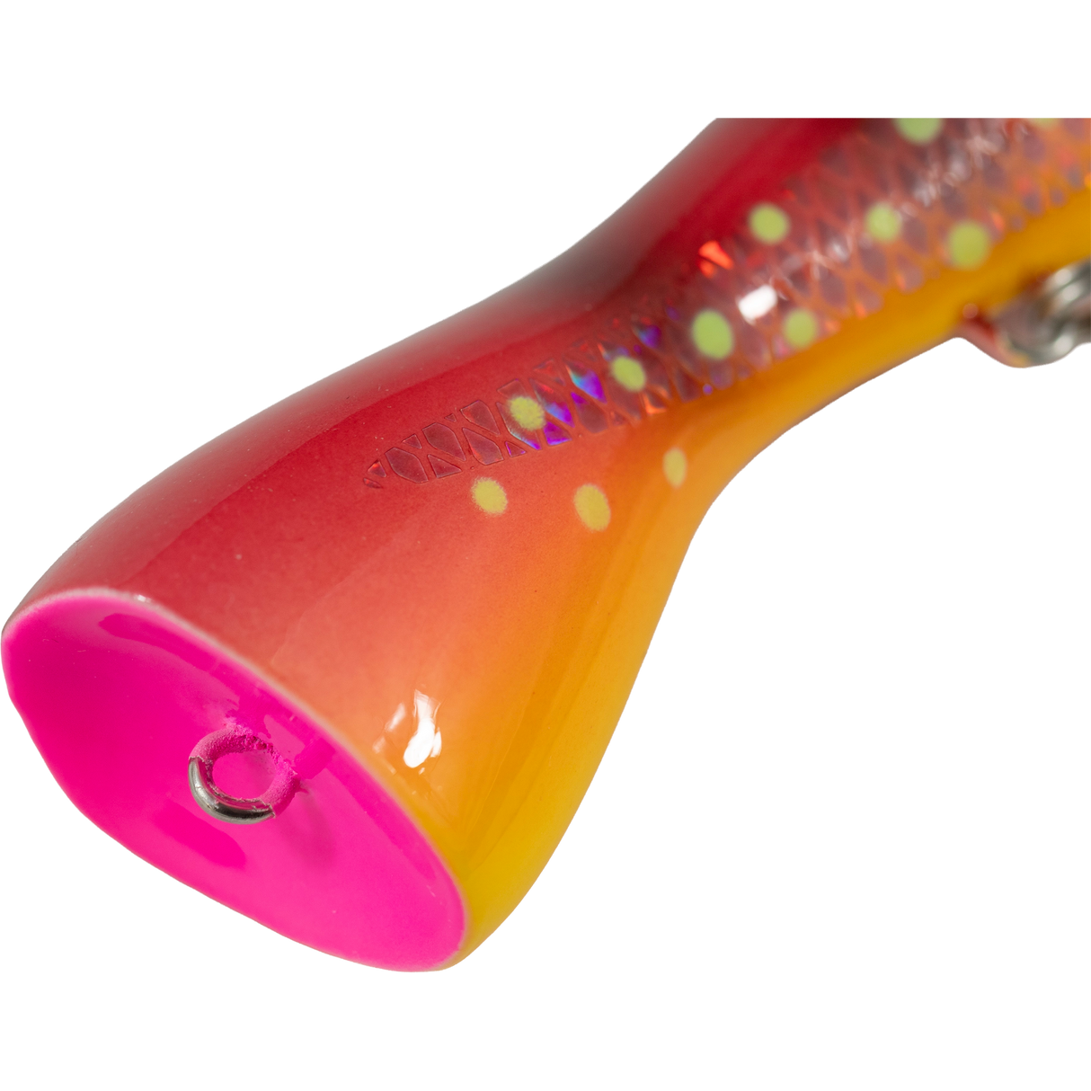 FCL Labo - EBISC 115F