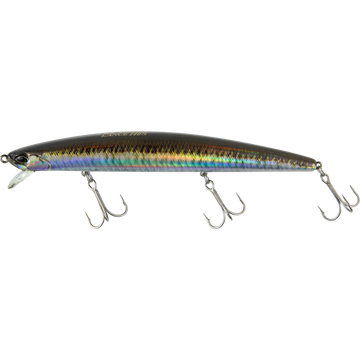 Real Sand Lance