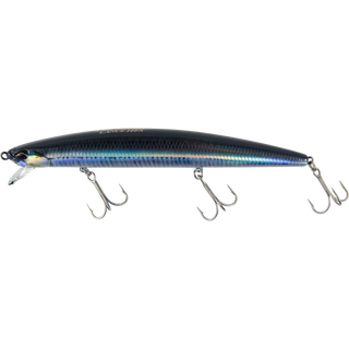 Real Anchovy