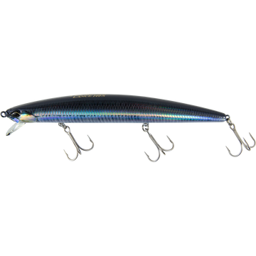 Real Anchovy