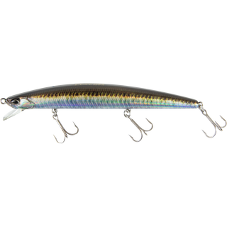 Real Sand Lance