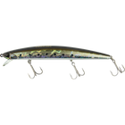 Sardine Noir