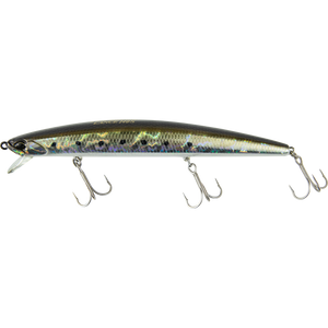 Sardine Noir