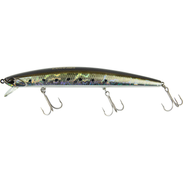 Sardine Noir