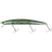 Katakuchi