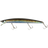 Real Sand Lance