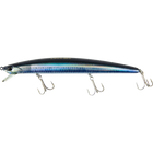Real Anchovy