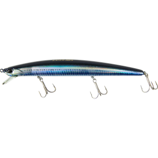 Real Anchovy