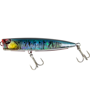 Genkai Sardine