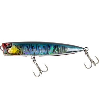 Genkai Sardine