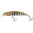 Prism Gill